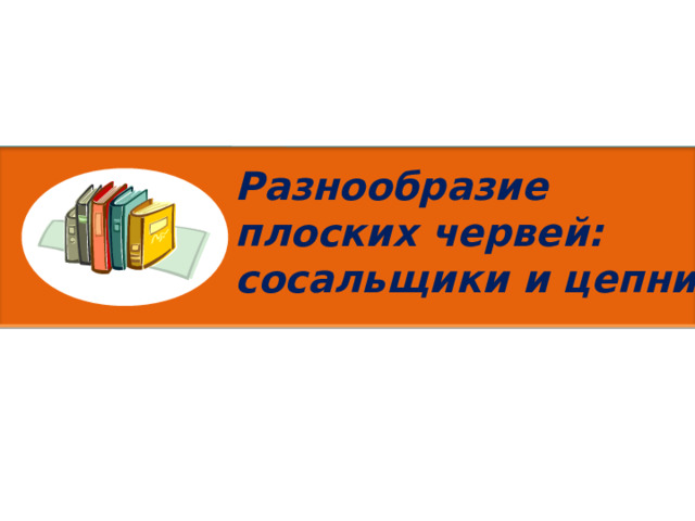 Разнообразие плоских червей: сосальщики и цепни 