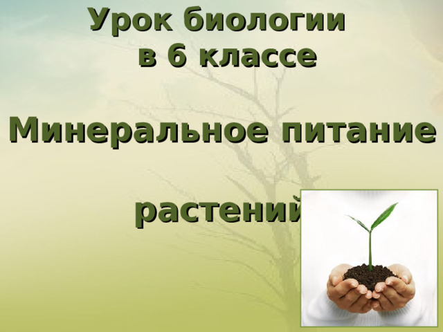   Урок биологии  в 6 классе   Минеральное питание  растений   