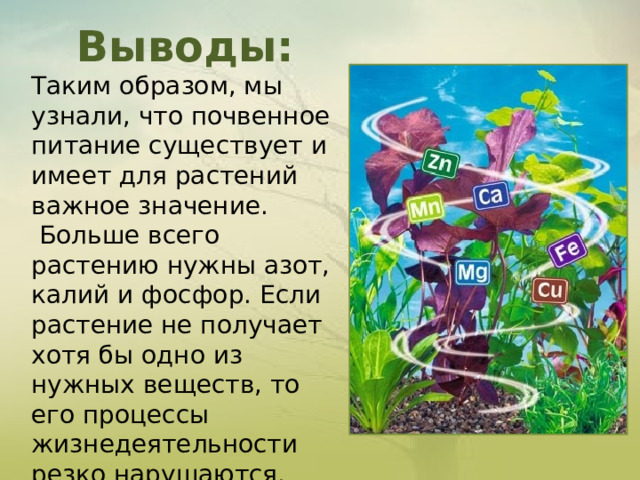   Выводы: Таким образом, мы узнали, что почвенное питание существует и имеет для растений важное значение.  Больше всего растению нужны азот, калий и фосфор. Если растение не получает хотя бы одно из нужных веществ, то его процессы жизнедеятельности резко нарушаются.        