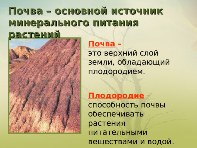 Почва – основной источник минерального питания растений        Почва –   это верхний слой земли, обладающий плодородием.   Плодородие – способность почвы обеспечивать растения питательными веществами и водой. 