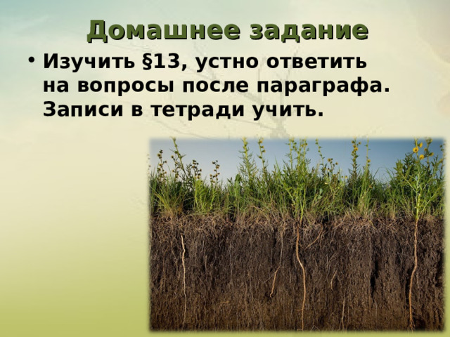 Домашнее задание Изучить §13, устно ответить  на вопросы после параграфа.  Записи в тетради учить.  