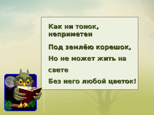  Как ни тонок, неприметен  Под землёю корешок,  Но не может жить на свете  Без него любой цветок! 