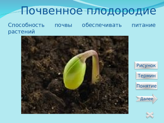 Почвенное плодородие Способность почвы обеспечивать питание растений  Рисунок  Термин Понятие Далее 21 
