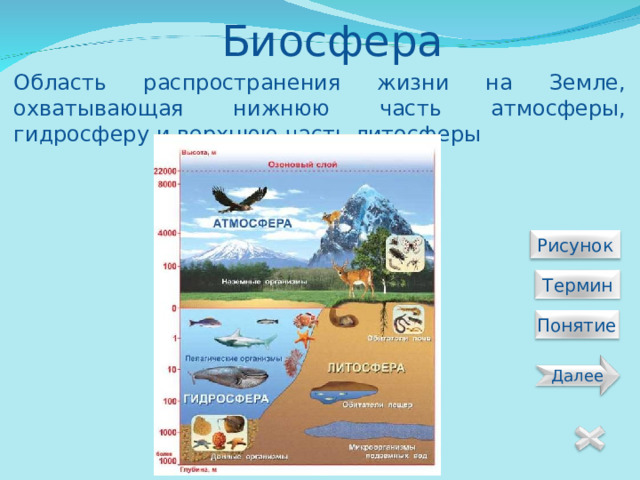 Биосфера Область распространения жизни на Земле, охватывающая нижнюю часть атмосферы, гидросферу и верхнюю часть литосферы  Рисунок  Термин Понятие Далее 22 