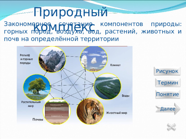 Природный комплекс Закономерное сочетание компонентов природы: горных пород, воздуха, вод, растений, животных и почв на определённой территории  Рисунок  Термин Понятие Далее 24 