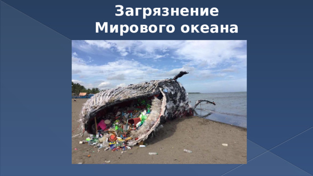 Загрязнение Мирового океана 