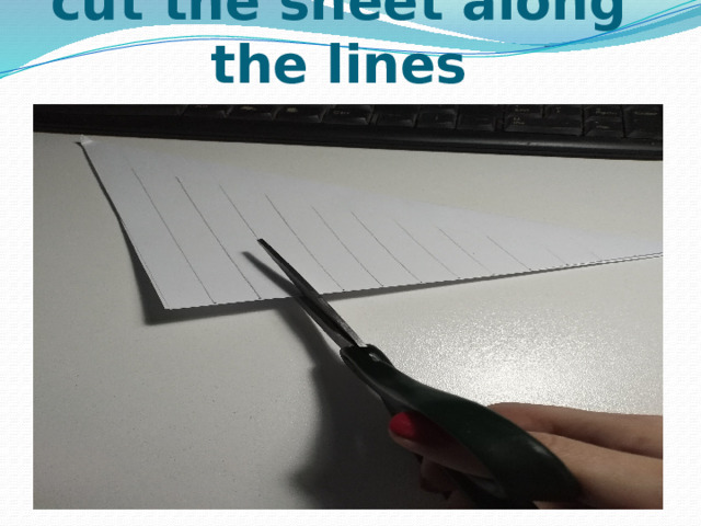 cut the sheet along the lines 