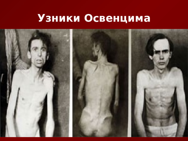 Узники Освенцима 