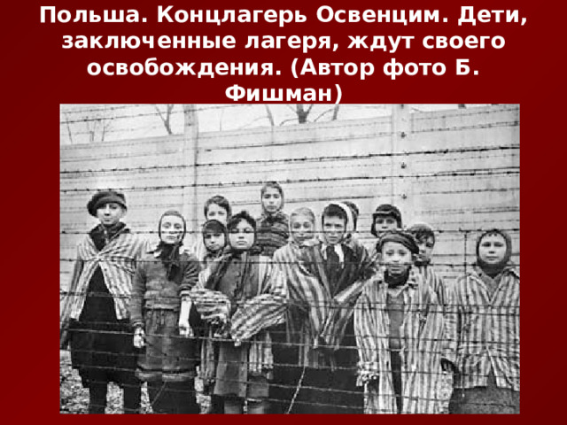 Польша. Концлагерь Освенцим. Дети, заключенные лагеря, ждут своего освобождения. (Автор фото Б. Фишман) 