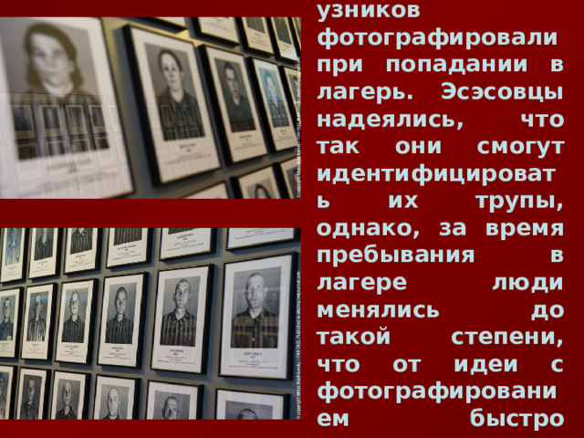  Всех узников фотографировали при попадании в лагерь. Эсэсовцы надеялись, что так они смогут идентифицировать их трупы, однако, за время пребывания в лагере люди менялись до такой степени, что от идеи с фотографированием быстро отказались. 