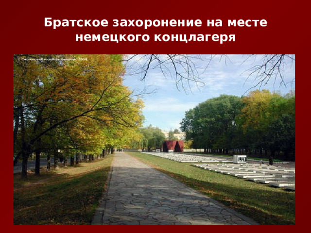 Братское захоронение на месте немецкого концлагеря 