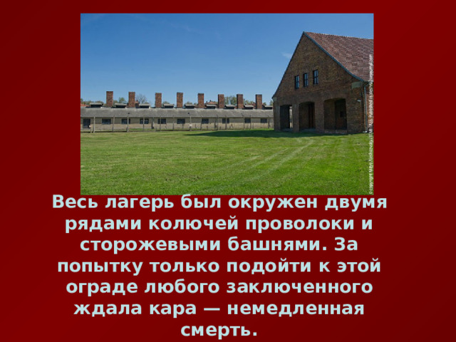     Весь лагерь был окружен двумя рядами колючей проволоки и сторожевыми башнями. За попытку только подойти к этой ограде любого заключенного ждала кара — немедленная смерть. 