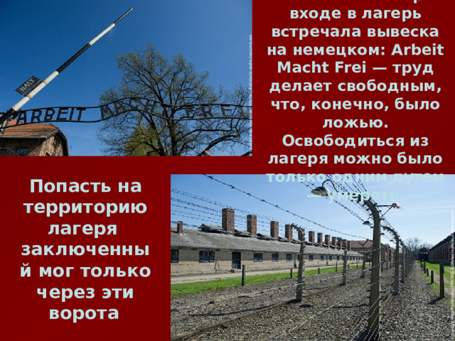  Новых заключенных при входе в лагерь встречала вывеска на немецком: Arbeit Macht Frei — труд делает свободным, что, конечно, было ложью. Освободиться из лагеря можно было только одним путем — умереть.  Попасть на территорию лагеря заключенный мог только через эти ворота . 