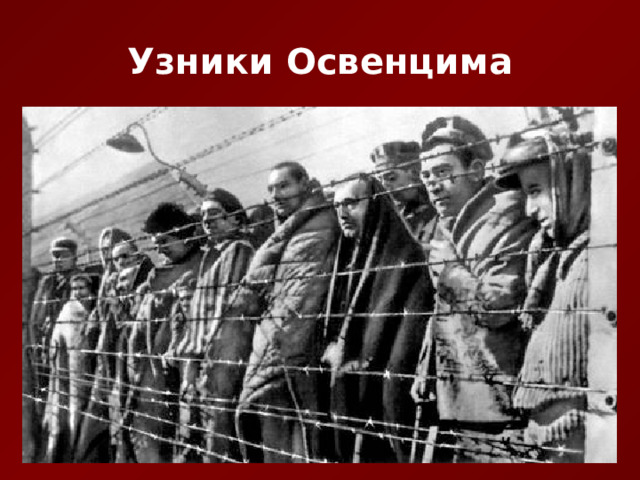 Узники Освенцима 