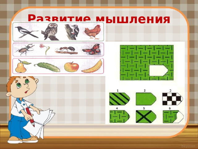 Развитие мышления 