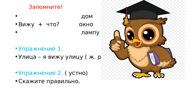 Запомните!  дом Вижу + что? окно  лампу Упражнение 1. Улица – я вижу улицу ( ж. р.) Упражнение 2. ( устно) Скажите правильно. 