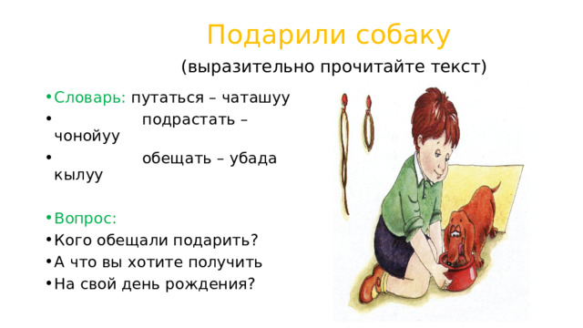  Подарили собаку   (выразительно прочитайте текст) Словарь: путаться – чаташуу  подрастать – чонойуу  обещать – убада кылуу Вопрос: Кого обещали подарить? А что вы хотите получить На свой день рождения? 