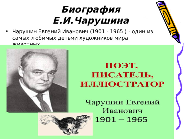 Биография Е.И.Чарушина Чарушин Евгений Иванович (1901 - 1965 ) - один из самых любимых детьми художников мира животных. 