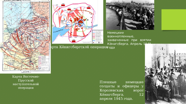 Немецкие военнопленные, захваченные при взятии Кёнигсберга. Апрель 1945 года Карта Кёнигсбергской операции Карта Восточно-Прусской наступательной операции Пленные немецкие солдаты и офицеры у Королевских ворот Кёнигсберга. 12 апреля 1945 года. 
