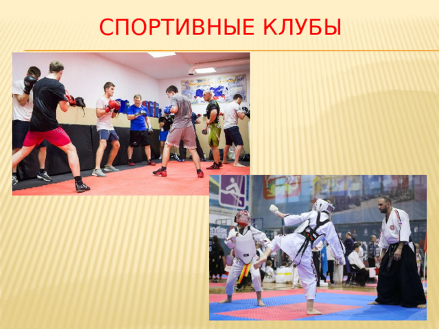 Спортивные клубы 