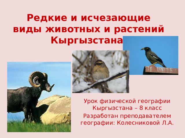 Редкие и исчезающие виды животных и растений Кыргызстана   Урок физической географии Кыргызстана – 8 класс Разработан преподавателем географии: Колесниковой Л.А. 