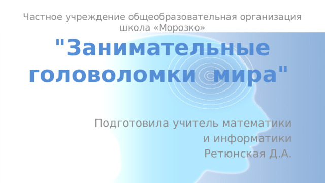 Частное учреждение общеобразовательная организация школа «Морозко»  