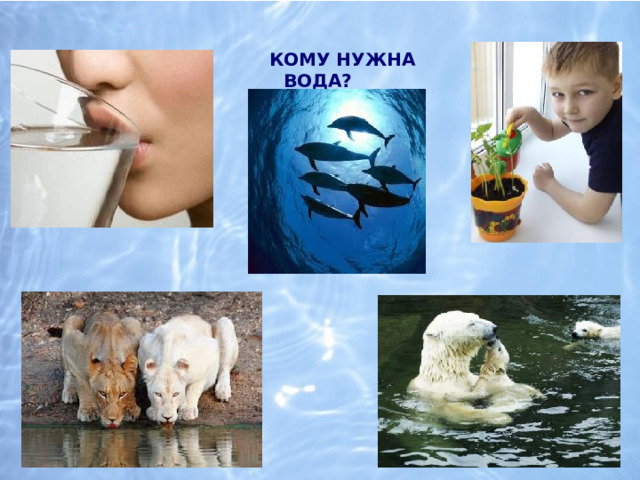   Кому нужна вода? 