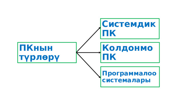Системдик ПК Колдонмо ПК ПКнын түрлөрү Программалоо системалары 