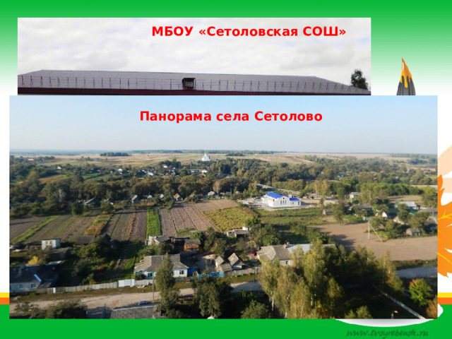МБОУ «Сетоловская СОШ»   Панорама села Сетолово   