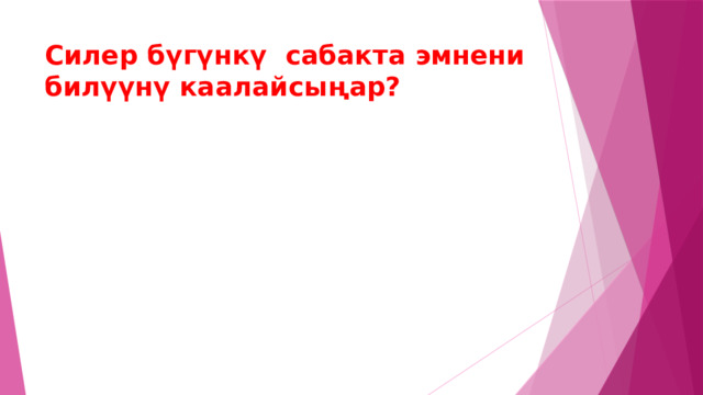 Силер бүгүнкү сабакта эмнени билүүнү каалайсыңар? 