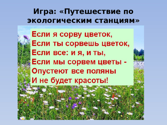 Игра: «Путешествие по экологическим станциям» 