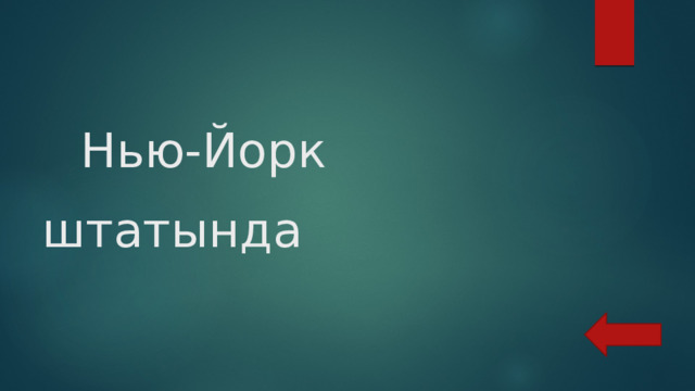  Нью-Йорк штатында  