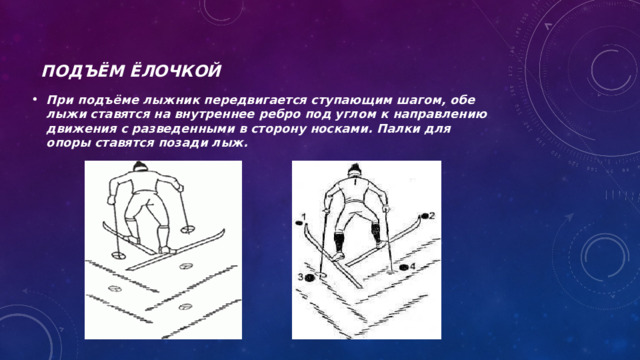 Подъём ёлочкой При подъёме лыжник передвигается ступающим шагом, обе лыжи ставятся на внутреннее ребро под углом к направлению движения с разведенными в сторону носками. Палки для опоры ставятся позади лыж. 