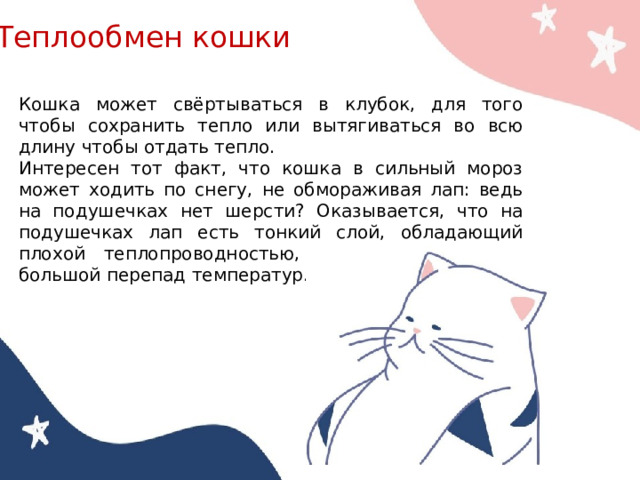 Теплообмен кошки Кошка может свёртываться в клубок, для того чтобы сохранить тепло или вытягиваться во всю длину чтобы отдать тепло. Интересен тот факт, что кошка в сильный мороз может ходить по снегу, не обмораживая лап: ведь на подушечках нет шерсти? Оказывается, что на подушечках лап есть тонкий слой, обладающий плохой теплопроводностью, он то и «держит» большой перепад температур. 