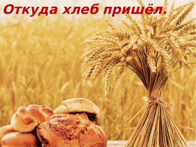 Откуда хлеб пришёл. 
