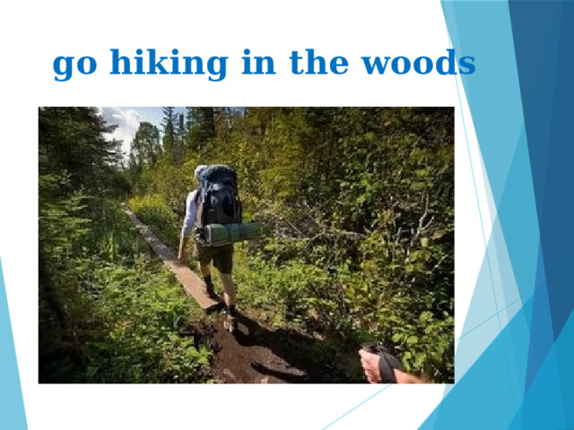 go hiking in the woods 