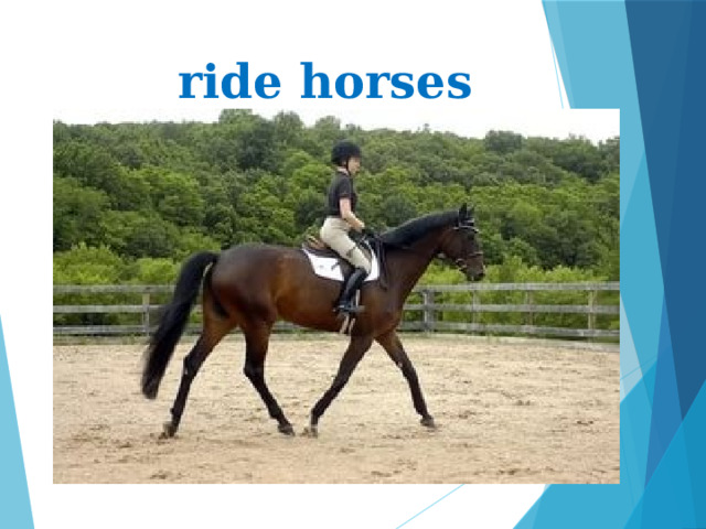 ride horses 