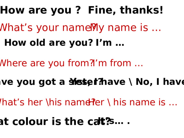 How are you ? Fine, thanks! What’s your name? My name is … How old are you? I’m … Where are you from? I’m from … Have you got a sister? Yes, I have \ No, I haven’t. What’s her \his name? Her \ his name is … What colour is the cat? It’s… . 