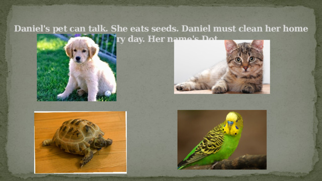 Daniel's pet can talk. She eats seeds. Daniel must clean her home every day. Her name's Dot. 