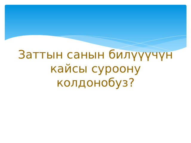  Заттын санын билүүүчүн кайсы суроону колдонобуз? 