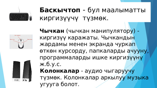Баскычтоп - бул маалыматты киргизүүчү түзмөк. Чычкан (чычкан манипулятору) - киргизүү каражаты. Чычкандын жардамы менен экранда чуркап өткөн курсорду, папкаларды ачууну, программаларды ишке киргизүүнү ж.б.у.с. Колонкалар - аудио чыгаруучу түзмөк. Колонкалар аркылуу музыка угууга болот. 