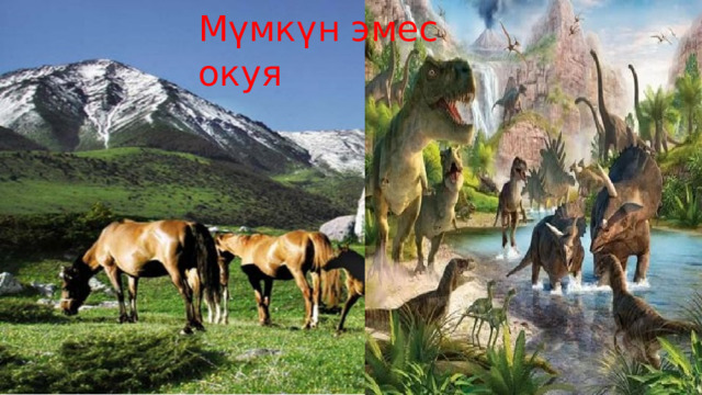 Мүмкүн эмес окуя 