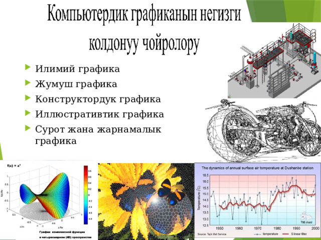 Илимий графика Жумуш графика Конструктордук графика Иллюстративтик графика Сурот жана жарнамалык графика 