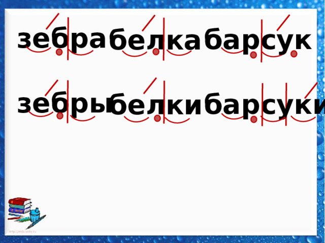 зебра  зебры барсук  барсуки  белка  белки  