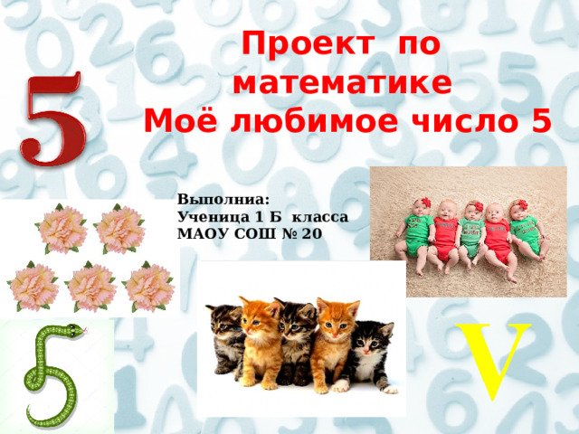  Проект по  математике  Моё любимое число 5 Выполниа: Ученица 1 Б класса МАОУ СОШ № 20 