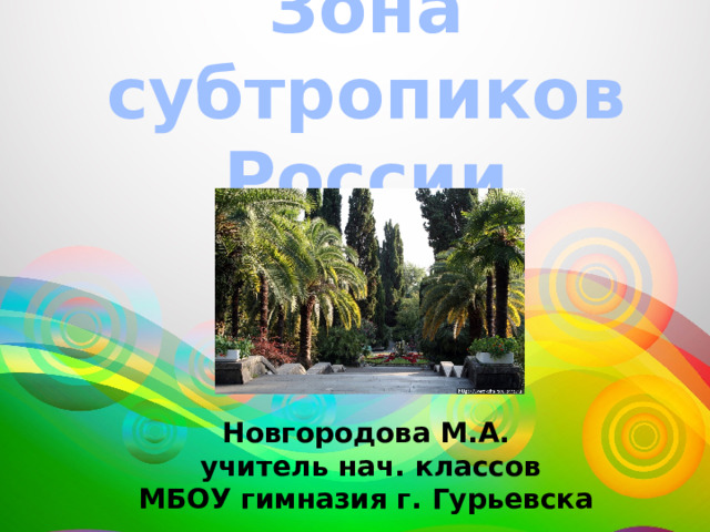 Зона субтропиков России Новгородова М.А.  учитель нач. классов МБОУ гимназия г. Гурьевска 