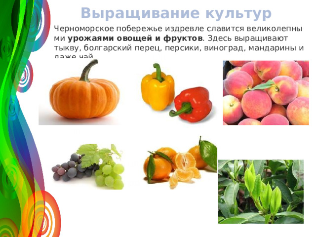 Выращивание культур Чер­но­мор­ское по­бе­ре­жье из­д­рев­ле сла­вит­ся ве­ли­ко­леп­ны­ми  уро­жа­я­ми ово­щей и фрук­тов . Здесь вы­ра­щи­ва­ют тыкву, бол­гар­ский перец, пер­си­ки, ви­но­град, ман­да­ри­ны и даже чай. 120 50 30 2008 2009 2010 2011 Название графика 