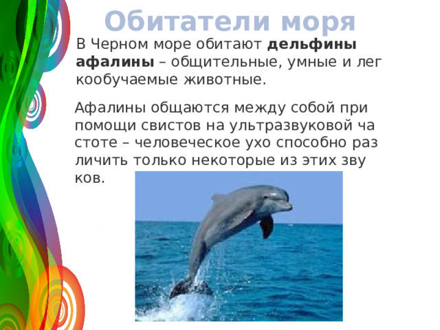 Обитатели моря В Чер­ном море оби­та­ют  дель­фи­ны афа­ли­ны  – об­щи­тель­ные, умные и лег­ко­обу­ча­е­мые жи­вот­ные. 120 Афа­ли­ны об­ща­ют­ся между собой при по­мо­щи сви­стов на уль­тра­зву­ко­вой ча­сто­те – че­ло­ве­че­ское ухо спо­соб­но раз­ли­чить толь­ко неко­то­рые из этих зву­ков. 50 30 2008 2009 2010 2011 Название графика 