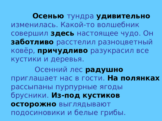   Осенью тундра удивительно изменилась. Какой-то волшебник совершил здесь настоящее чудо. Он заботливо расстелил разноцветный ковёр, причудливо разукрасил все кустики и деревья.  Осенний лес радушно приглашает нас в гости. На полянках  рассыпаны пурпурные ягоды брусники. Из-под кустиков осторожно выглядывают подосиновики и белые грибы. 