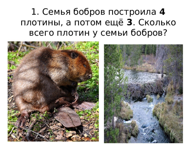  1. Семья бобров построила 4 плотины, а потом ещё 3 . Сколько всего плотин у семьи бобров? 
